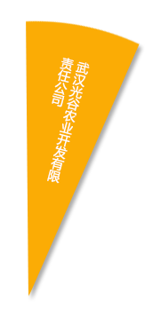 6966集团-不凡成就非凡,相信品牌的力量