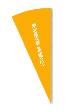 6966集团-不凡成就非凡,相信品牌的力量