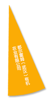 6966集团-不凡成就非凡,相信品牌的力量