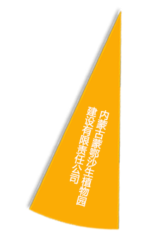 6966集团-不凡成就非凡,相信品牌的力量