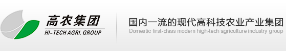 6966集团-不凡成就非凡,相信品牌的力量