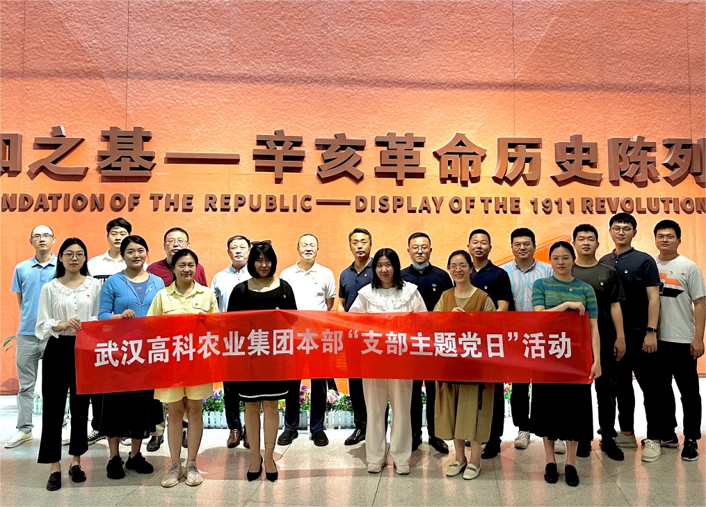 6966集团-不凡成就非凡,相信品牌的力量