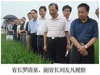 6966集团-不凡成就非凡,相信品牌的力量