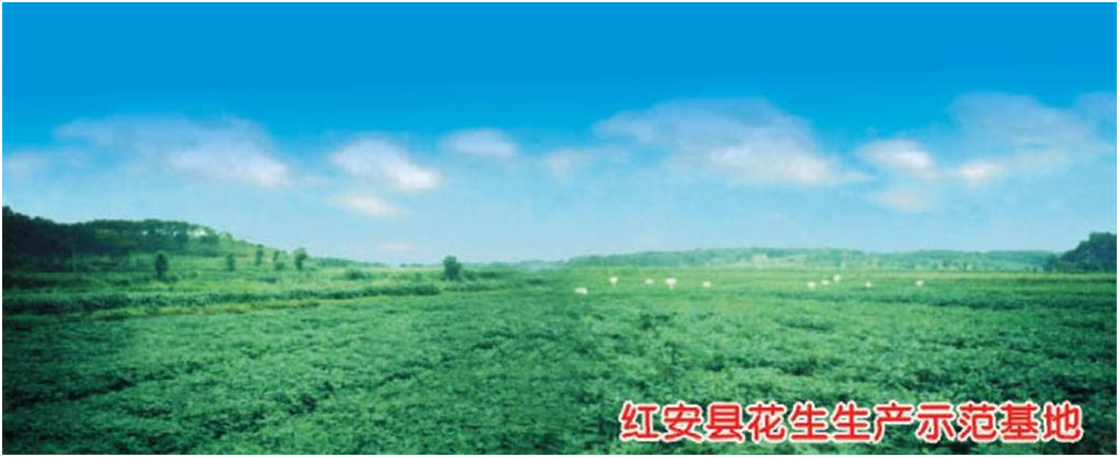 6966集团-不凡成就非凡,相信品牌的力量