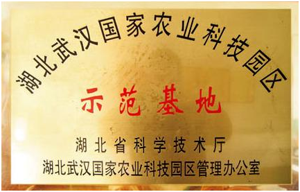 6966集团-不凡成就非凡,相信品牌的力量