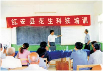 6966集团-不凡成就非凡,相信品牌的力量