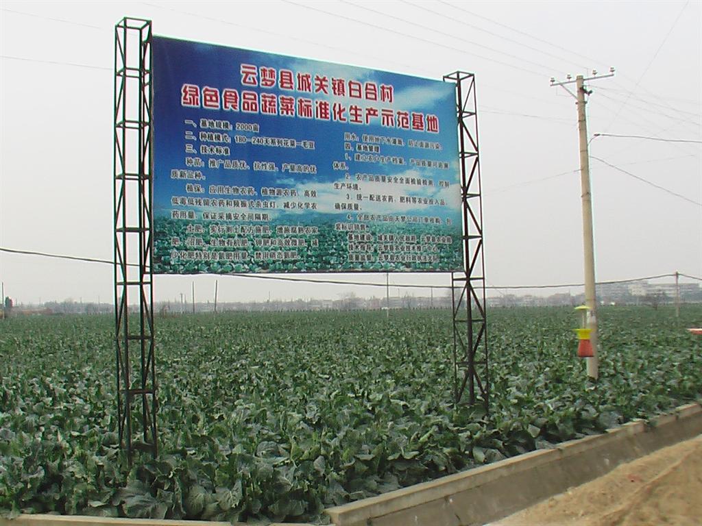 6966集团-不凡成就非凡,相信品牌的力量