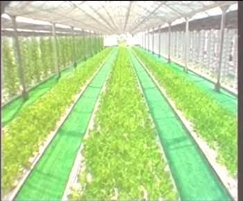 6966集团-不凡成就非凡,相信品牌的力量