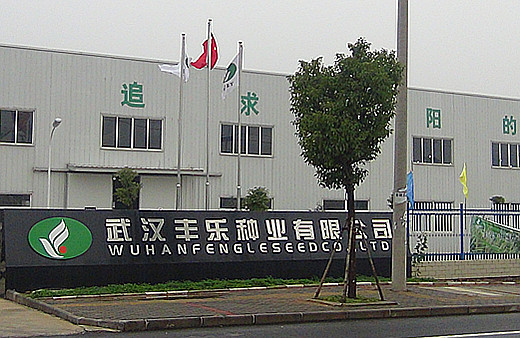 6966集团-不凡成就非凡,相信品牌的力量