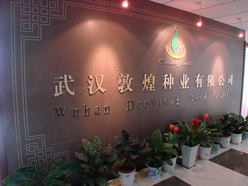 6966集团-不凡成就非凡,相信品牌的力量