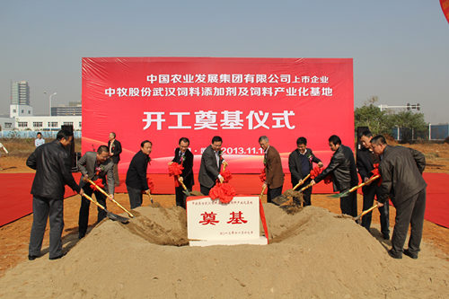 6966集团-不凡成就非凡,相信品牌的力量