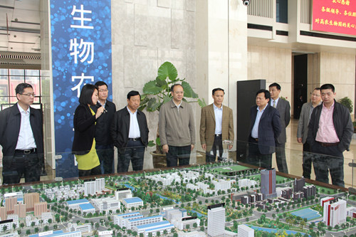 6966集团-不凡成就非凡,相信品牌的力量