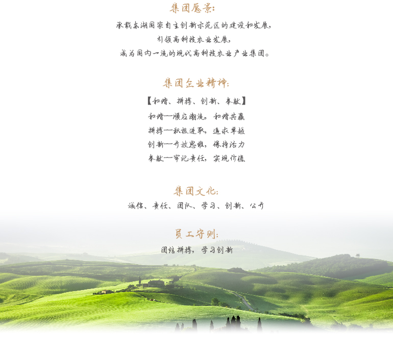 6966集团-不凡成就非凡,相信品牌的力量