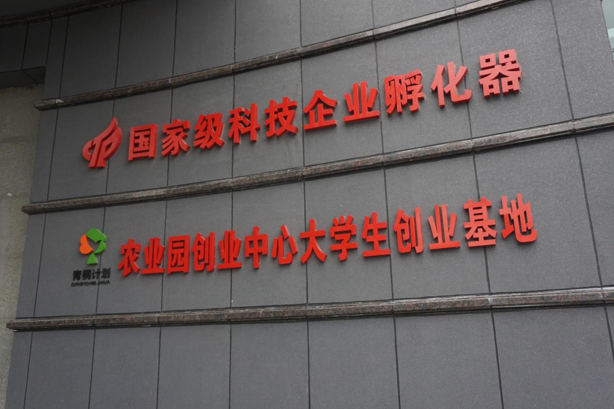 6966集团-不凡成就非凡,相信品牌的力量