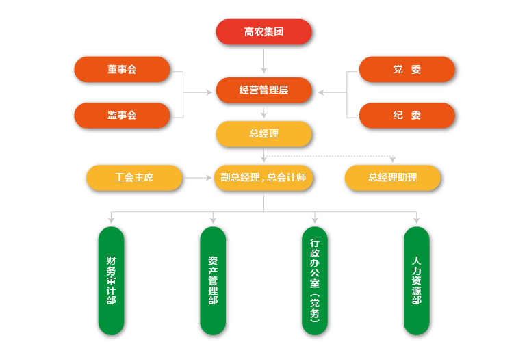6966集团-不凡成就非凡,相信品牌的力量