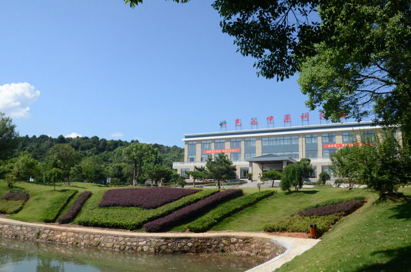 6966集团-不凡成就非凡,相信品牌的力量