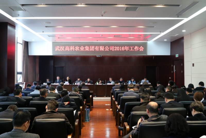 6966集团-不凡成就非凡,相信品牌的力量