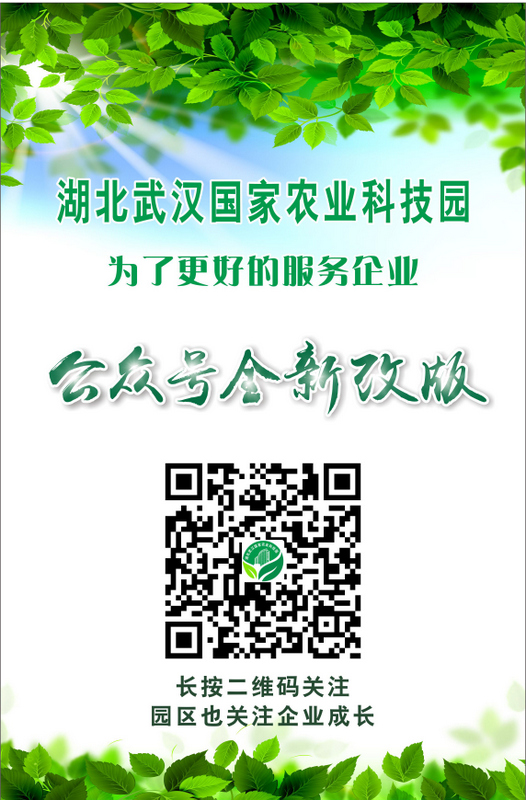 6966集团-不凡成就非凡,相信品牌的力量