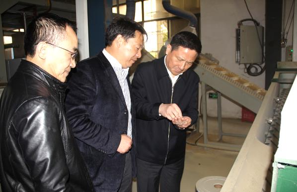 6966集团-不凡成就非凡,相信品牌的力量
