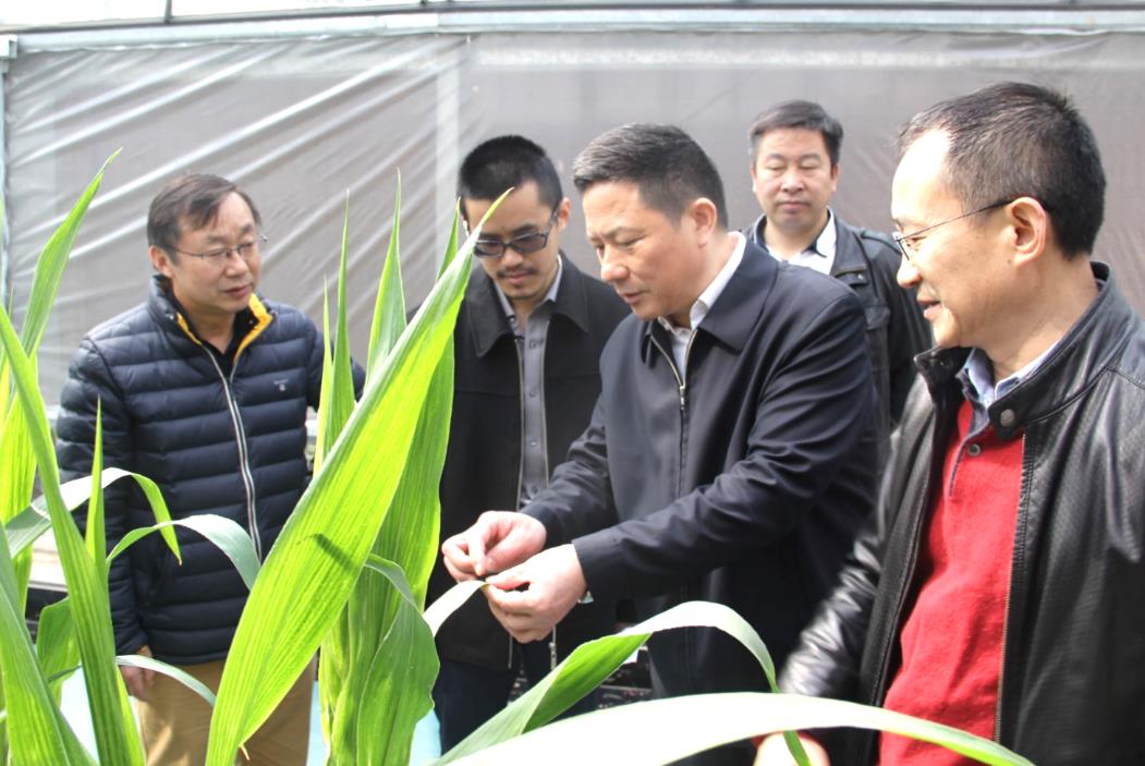 6966集团-不凡成就非凡,相信品牌的力量
