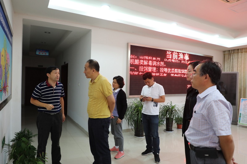 6966集团-不凡成就非凡,相信品牌的力量