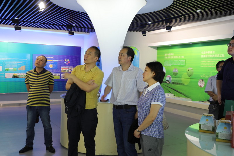 6966集团-不凡成就非凡,相信品牌的力量