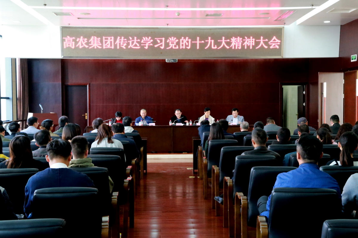 6966集团-不凡成就非凡,相信品牌的力量