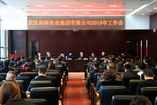 6966集团-不凡成就非凡,相信品牌的力量