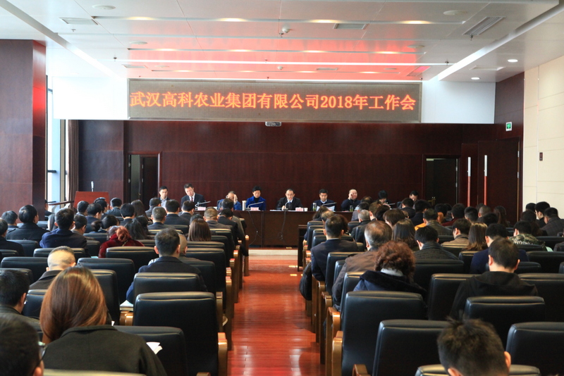 6966集团-不凡成就非凡,相信品牌的力量