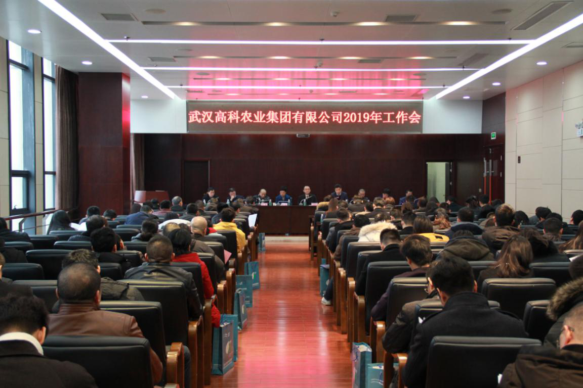 6966集团-不凡成就非凡,相信品牌的力量