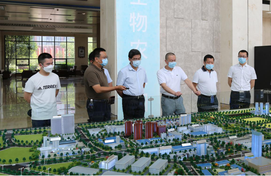 6966集团-不凡成就非凡,相信品牌的力量