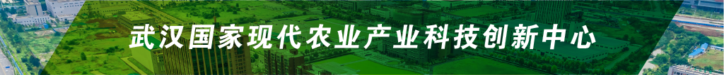 6966集团-不凡成就非凡,相信品牌的力量
