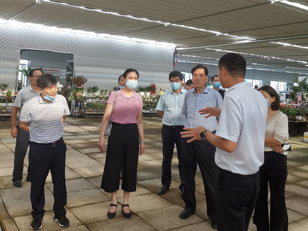 6966集团-不凡成就非凡,相信品牌的力量