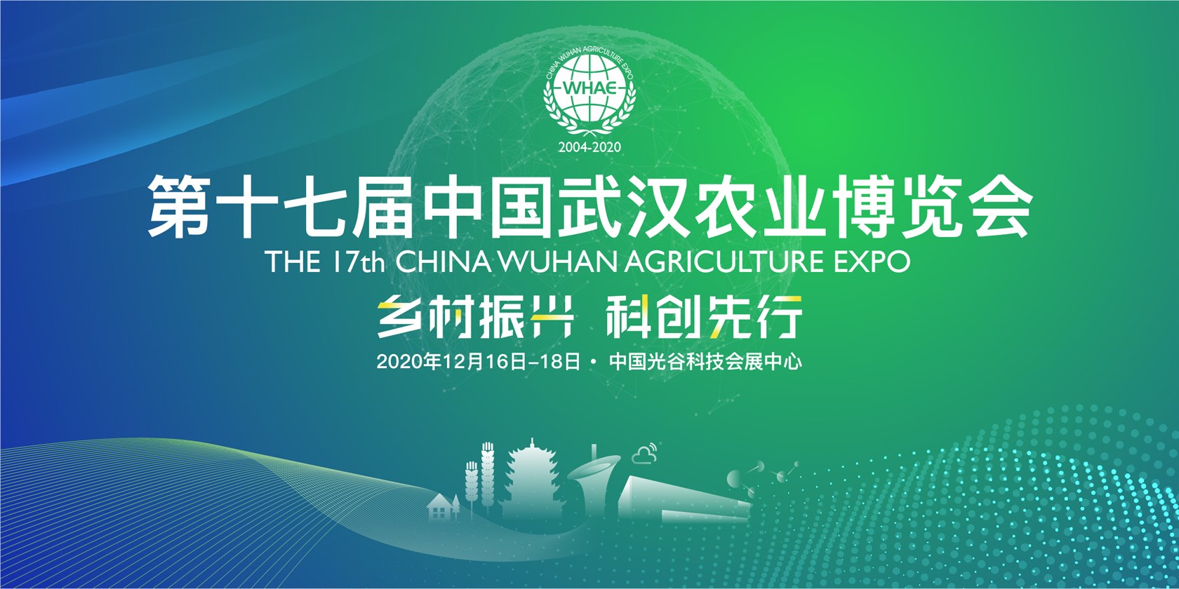 6966集团-不凡成就非凡,相信品牌的力量