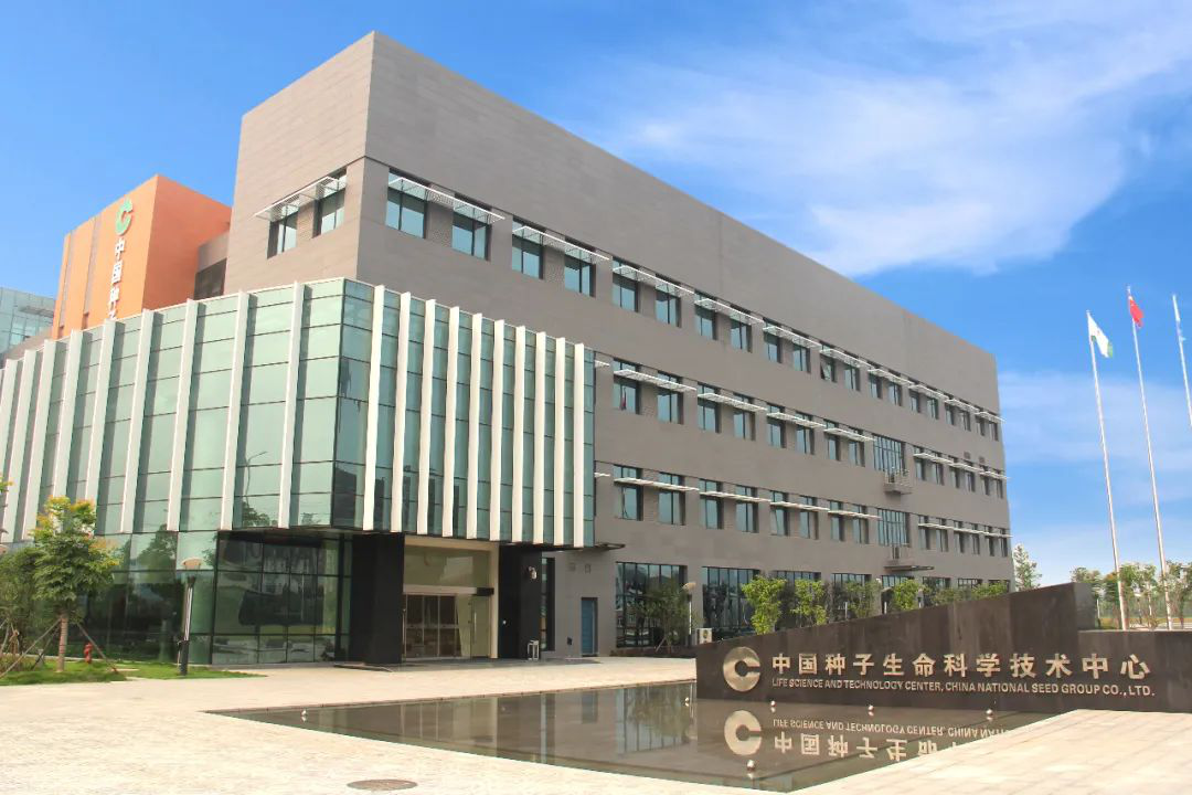 6966集团-不凡成就非凡,相信品牌的力量